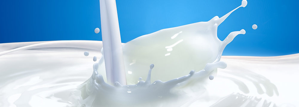 Stress karşıtı sağlıklı besinler - Süt Ürünleri | Brosslife Diyet Ürünleri
